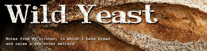 bread recipe blogs